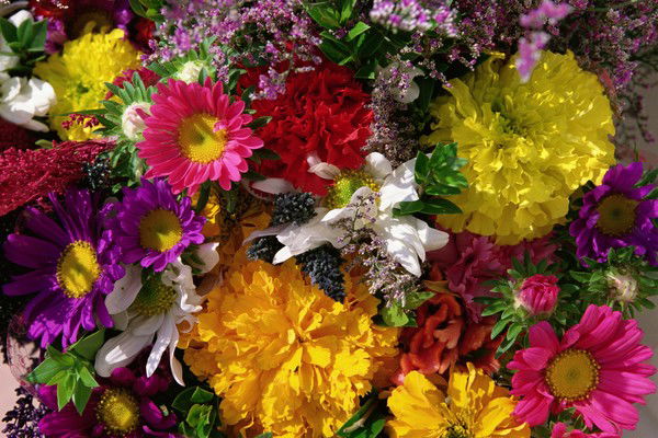 Ирина Нагорнова