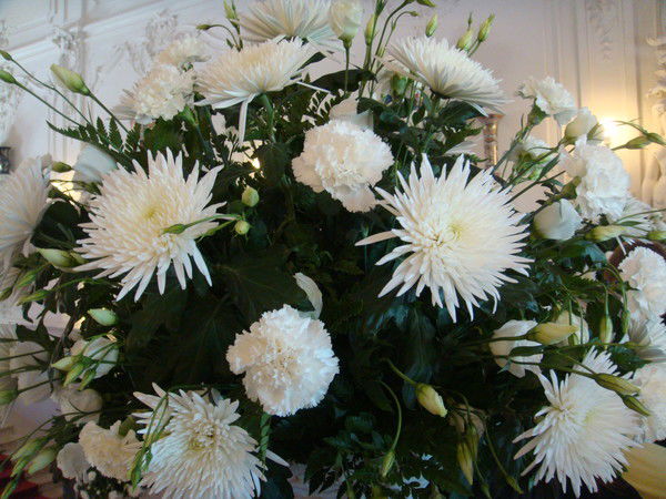 Мария Мария