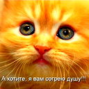 Viktor Шульга