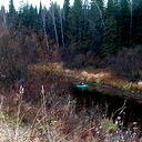 Lev Bog