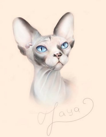 Анна Хряпина