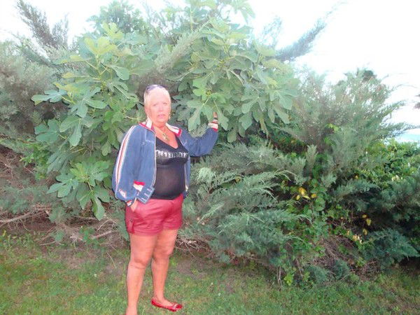 Галина Гоженко-Гавриленко