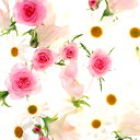 Чинара Романова