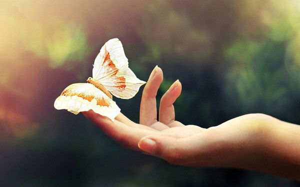 Владлена Серебренникова