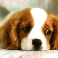 Римма Иванова