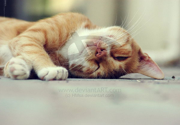 ............... .............