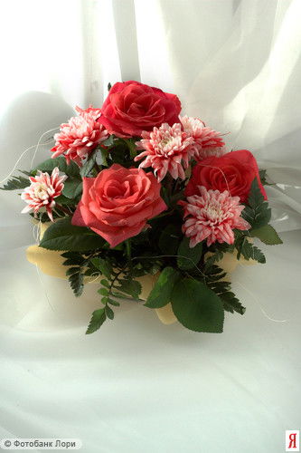 Галина Мелкозёрова