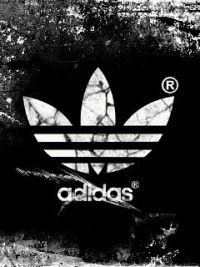 Владислав Галкин