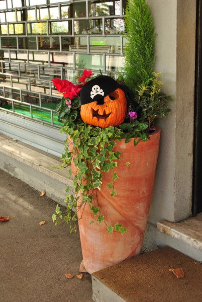 Катюша **** Катюша