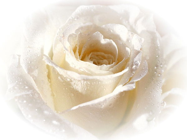 Ирина Налётова