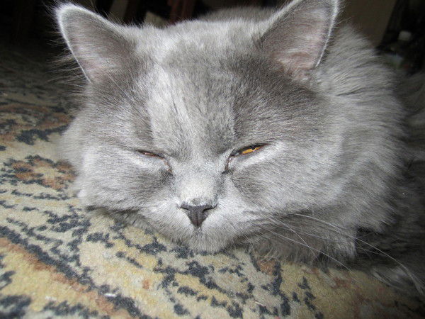 Константин Батенев