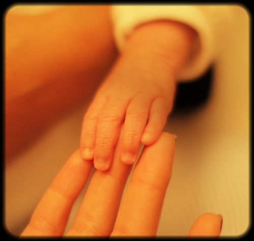 Альмира *******