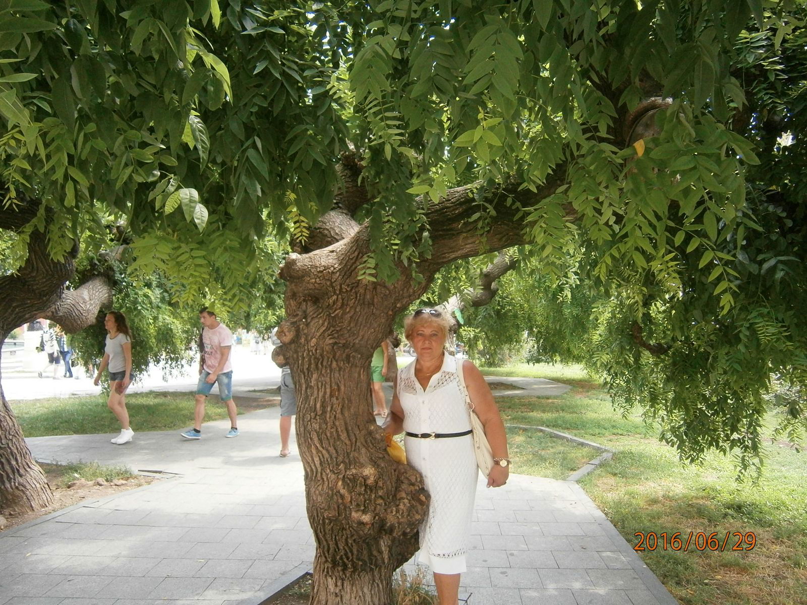 Елена Жовтобрюх