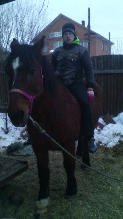 Михаил Мошков