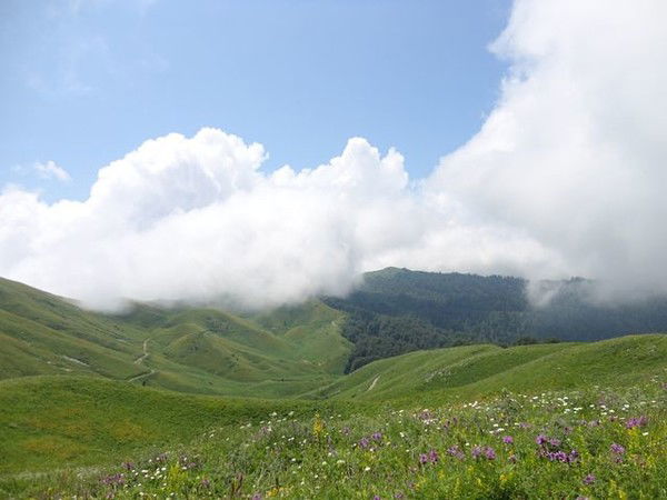 Наталья Хартуева