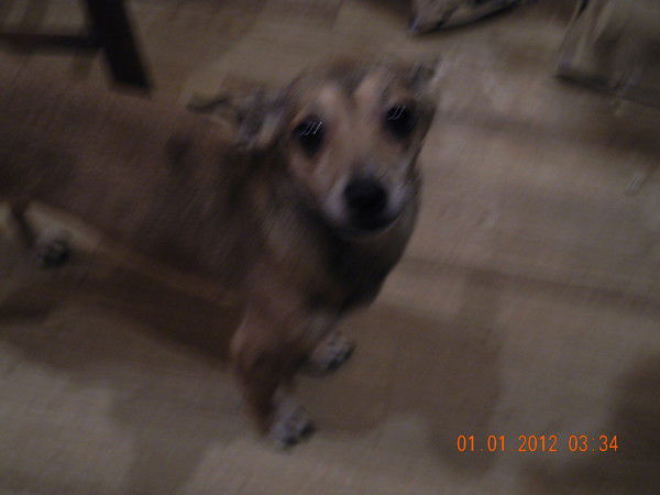 Hainz Wilgelm Guderian