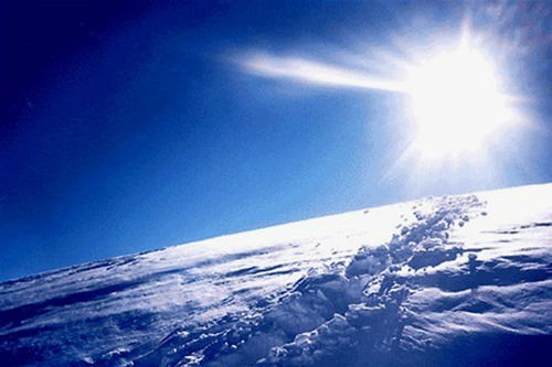 Ооо Свет Арктики