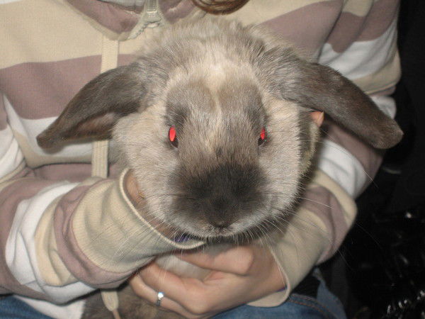 Светлана Хрусталёва