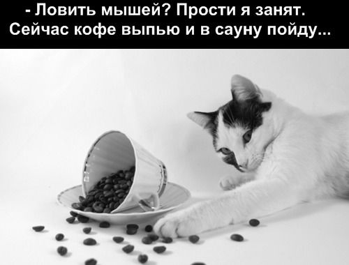 Вика Шептицкая