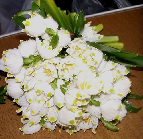 Ардак Кулжабаева