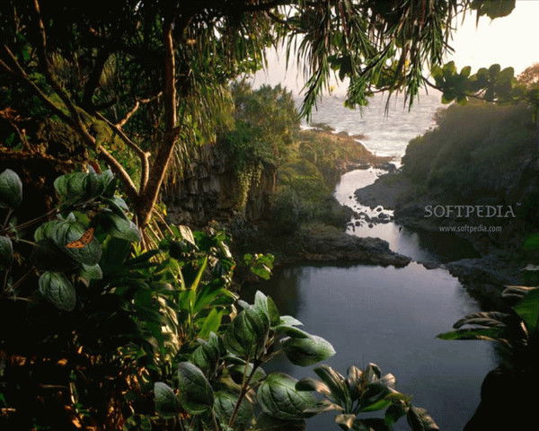 Ольга Минеева