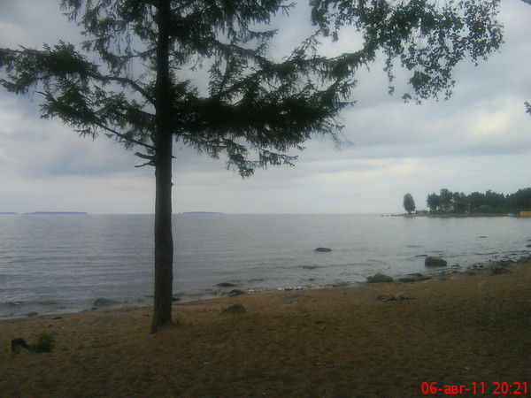 Фератус ,,,,,,,,,