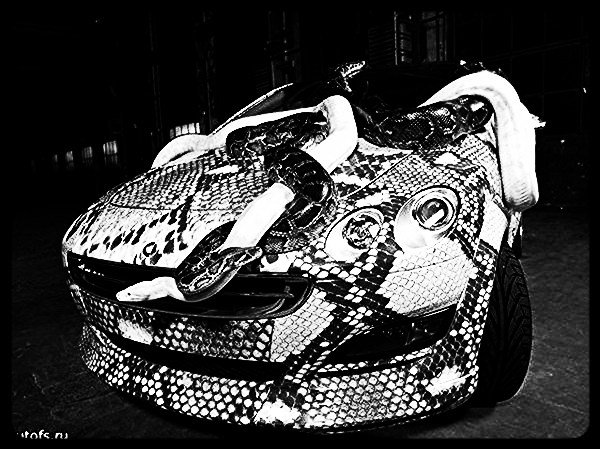 Евгений Коваль