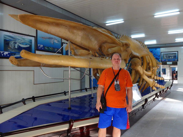 Елена Шевергина