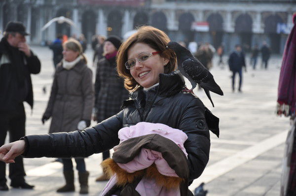 Незабудка Незабудка