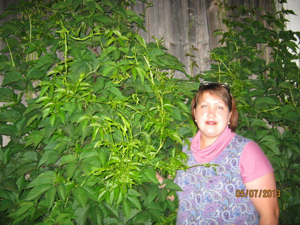 Надежда Горшкова