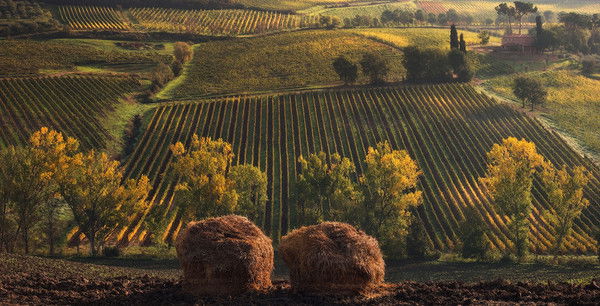 Басыров Радик