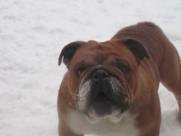 Елена Козловская