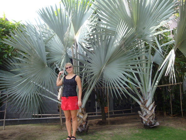 Оксана Игидова