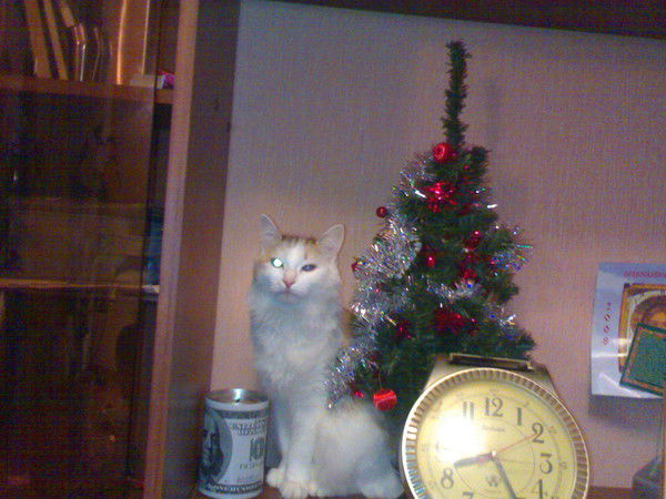 Ольга Гусева