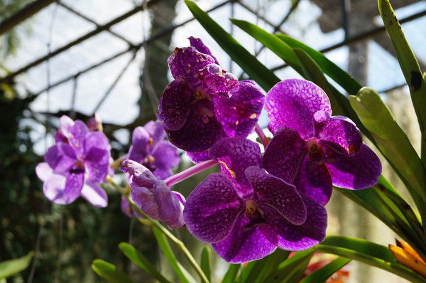 Анастасия Иванова