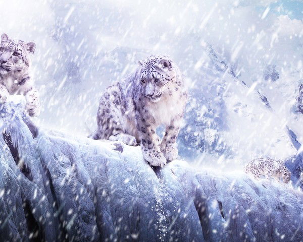 Василий Бобров Небеса