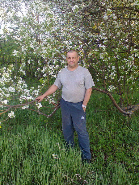 Владимир Тренин