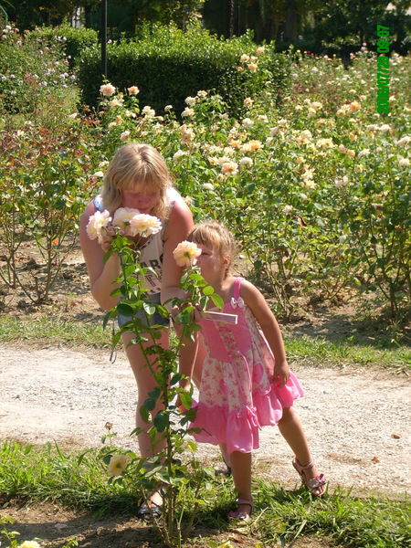 Наташа Гришанина