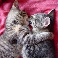 Милана Милая