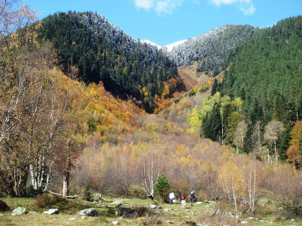 Наталья Калинина