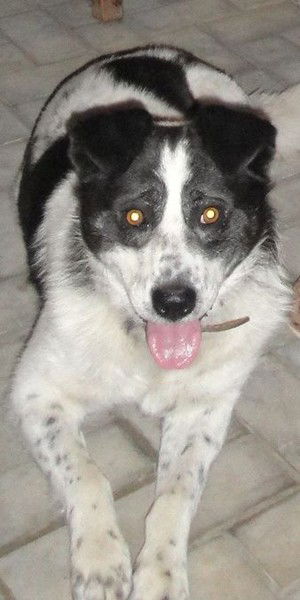 Виктория Кудряшова