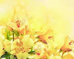 Зиля Габдуллина