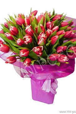 Наташа Писмиченко