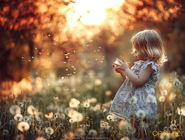 Солмаз Гасымова