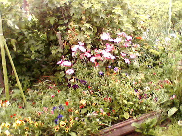 Юлия Водопьянова