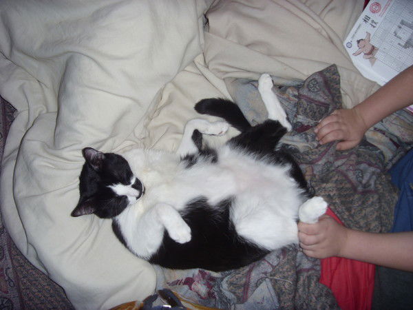 Юрий Антропов