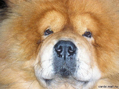 Анна Суходоева