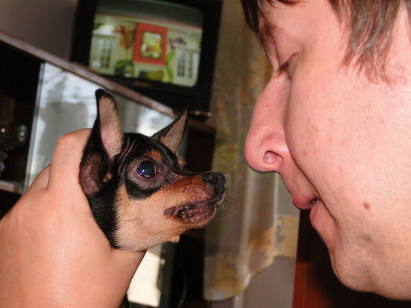 Максим Морозов