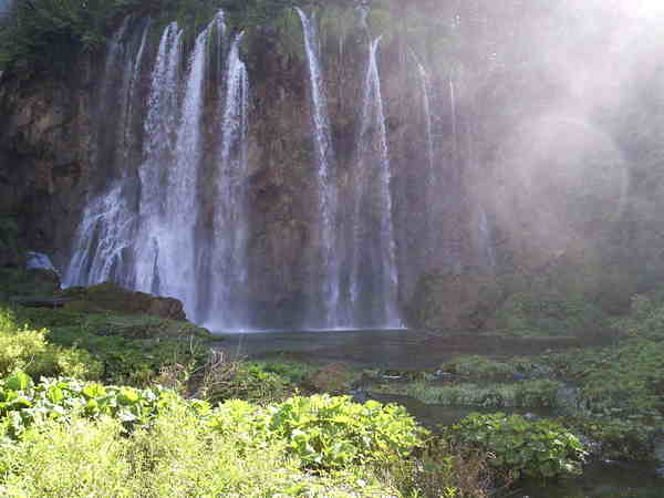 Дмитрий Алешин