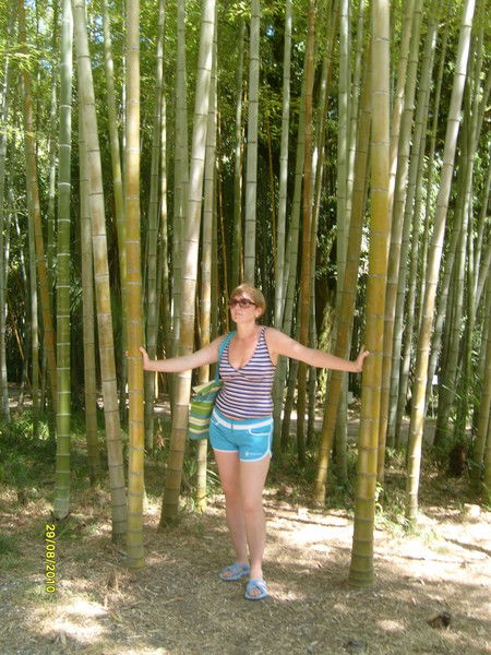 Елена Коротких